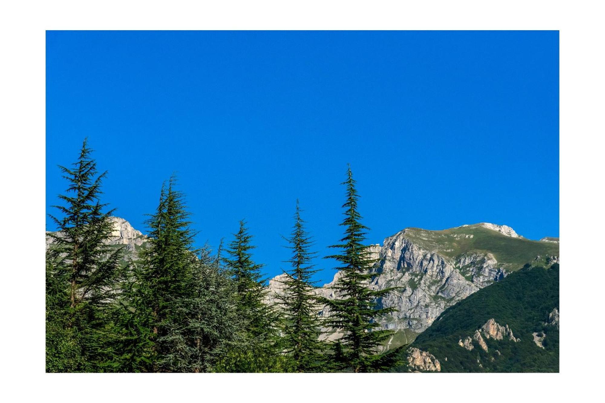 Chalet Bragard Limone Piemonte Zewnętrze zdjęcie