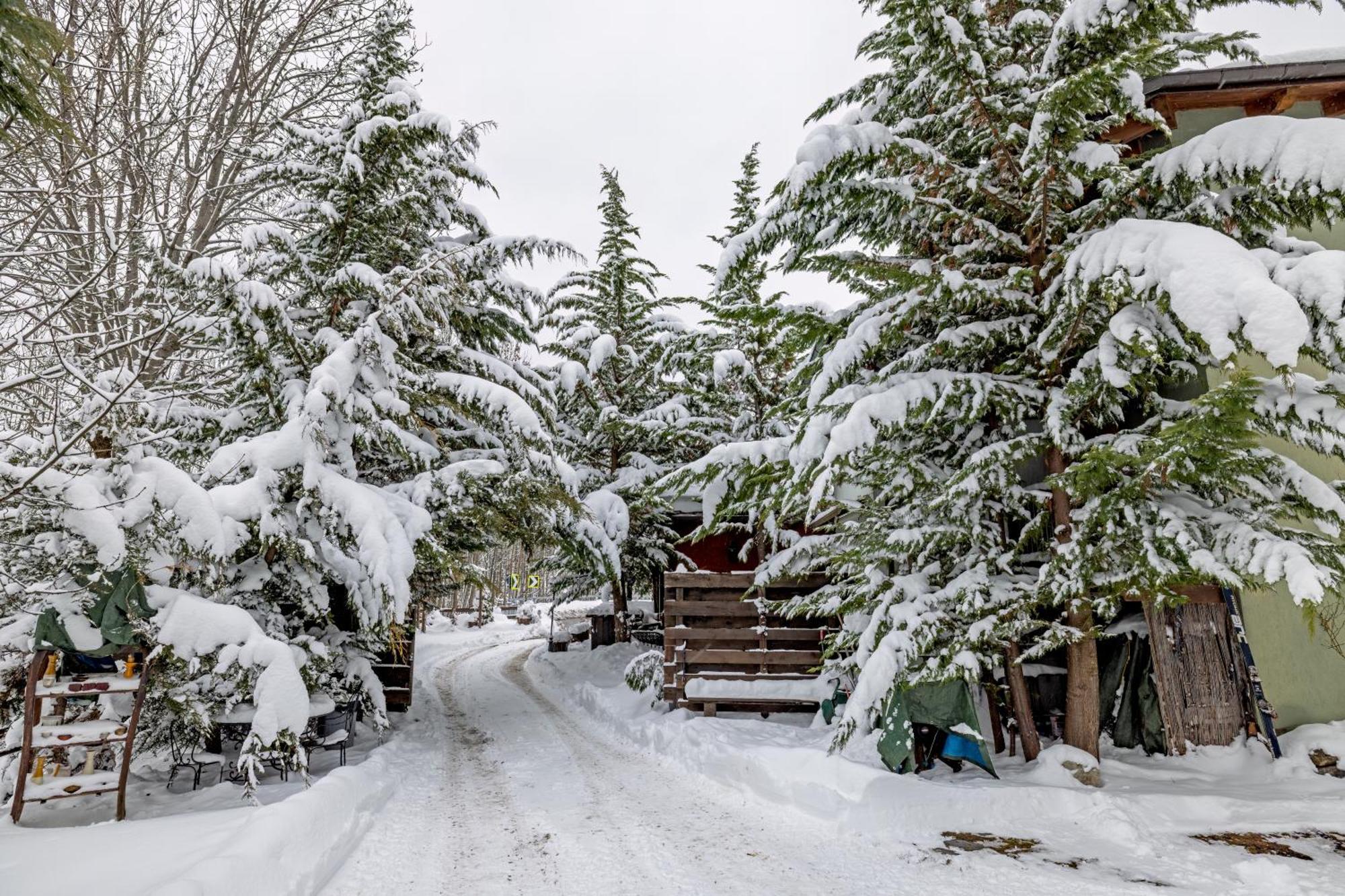 Chalet Bragard Limone Piemonte Zewnętrze zdjęcie